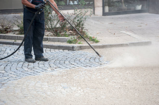 Professional Pressure Washing Services in Abbeville, AL