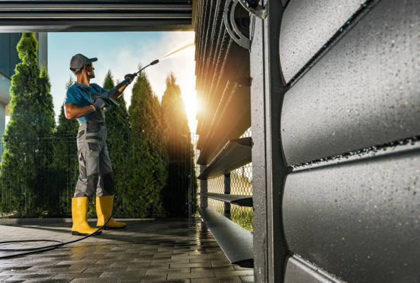 Best Roof Washing  in Abbeville, AL